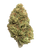 Apple Sherbet THCA Flower