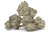 Oreos Exotic THCA Flower Indica