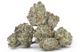 Oreos Exotic THCA Flower Indica